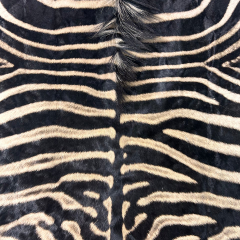 Tapis en peau de zèbre véritable n° 31 Taille : 7,3 x 6,7 pieds - TAIE D'OREILLER ZEBRA GRATUITE