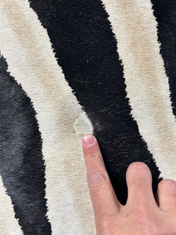 Genuine Zebra Print Cowhide Rug (1 patch/ super light inner stripes) Size: 7x5.5 feet D-143