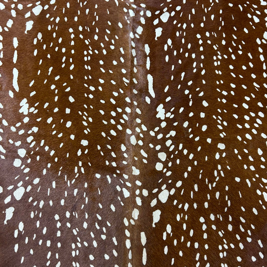 Axis Deer Print (Dark background) Size: 7x5.5 feet Y-161