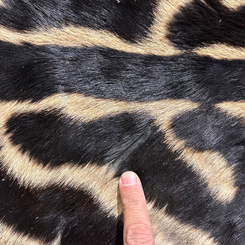 Tapis en peau de zèbre véritable n° 31 Taille : 7,3 x 6,7 pieds - TAIE D'OREILLER ZEBRA GRATUITE