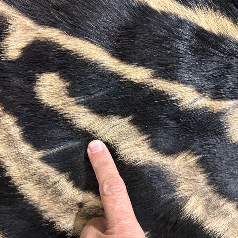 Tapis en peau de zèbre véritable n° 31 Taille : 7,3 x 6,7 pieds - TAIE D'OREILLER ZEBRA GRATUITE