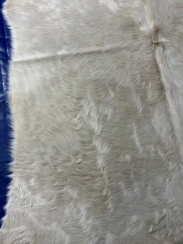 Natural White Cowhide Rug Size: 6x5 feet D-151