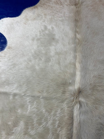 Natural White Cowhide Rug Size: 6x5 feet D-151