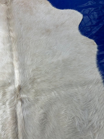 Natural White Cowhide Rug Size: 6x5 feet D-151