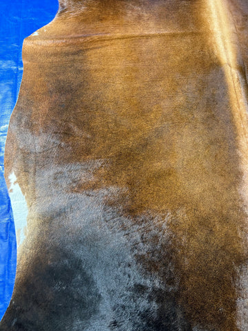 Gorgeous Reddish Cowhide Rug (nice dorsal line) Size: 7.2x6 feet D-153