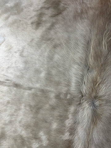 Long Hair Alpen Cowhide Rug Size: 7x6 feet D-154