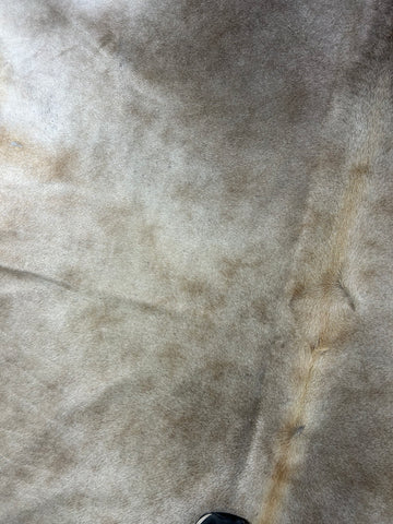 Alpen Cowhide Rug Size: 7x7 feet D-164