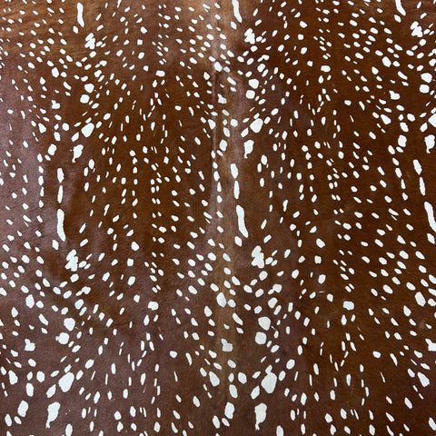 Axis Deer Print (Medium background) Size: 7x5.7 feet Y-170