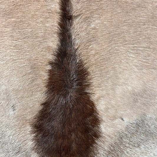 Gemsbok Skin (neck area is hard, Tail is 20") Size: 56" x 51" D-691