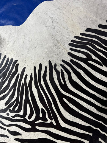 Zebra Cowhide Rug (background is grey and has some specs or dots/ stitch) Size: 7.5x6.5 feet D-171