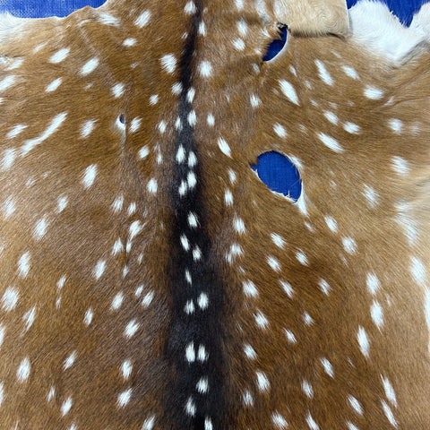 Axis Deer Skin Size: 38x37" Axis-761