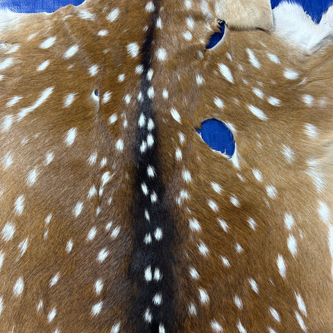 Axis Deer Skin Size: 38x37" Axis-761