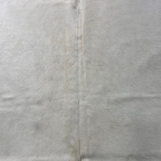 Solid Offwhite Cowhide Rug (short hair/ fire brand) Size: 7.5x7 feet Y-210