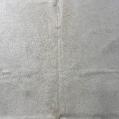 Solid Offwhite Cowhide Rug (short hair/ fire brand) Size: 7.5x7 feet Y-210