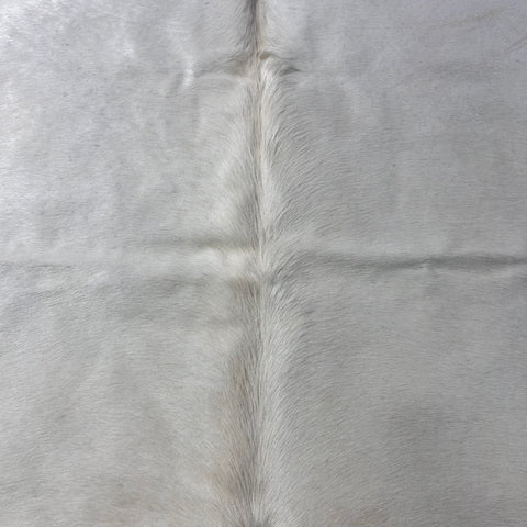 Solid Offwhite Cowhide Rug (short hair/ fire brand) Size: 7.5x7 feet Y-210