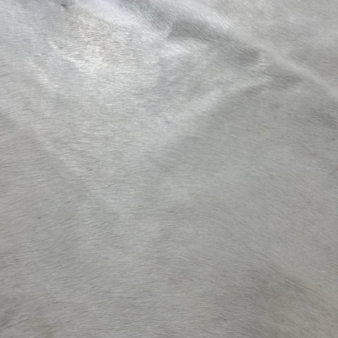 Solid Offwhite Cowhide Rug (short hair/ fire brand) Size: 7.5x7 feet Y-210