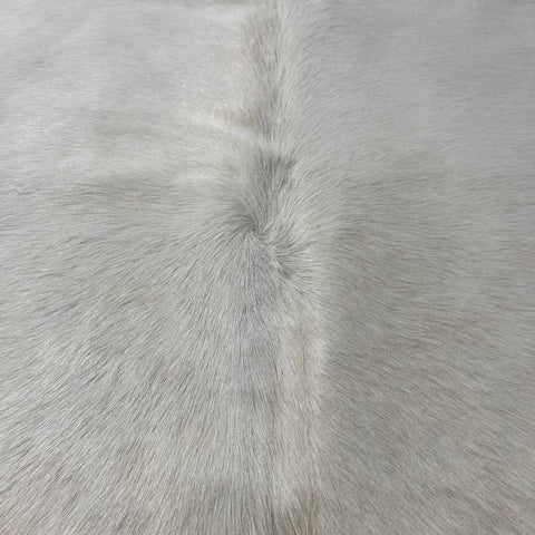 Solid Offwhite Cowhide Rug (short hair/ fire brand) Size: 7.5x7 feet Y-210