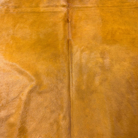 Dyed Orange Cowhide Rug Size: 8x7 feet Y-078