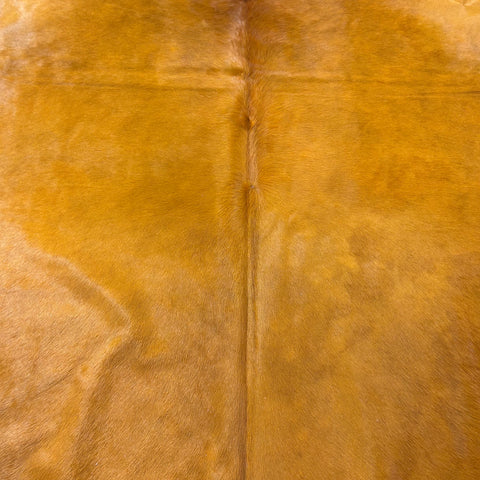 Dyed Orange Cowhide Rug Size: 8x7 feet Y-078
