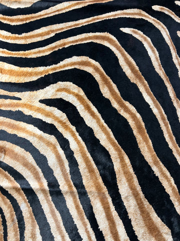 Dark Genuine Zebra Cowhide Rug Size: 7.2x6.2 feet D-184