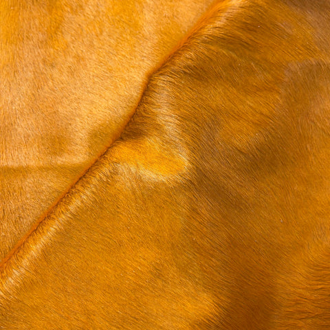 Dyed Orange Cowhide Rug Size: 8x7 feet Y-078