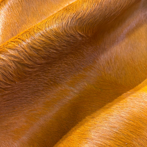 Dyed Orange Cowhide Rug Size: 8x7 feet Y-078