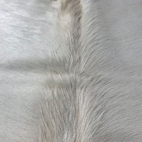 Solid Ivory Cowhide Rug (nice shiny hair/ 1 natural beige spot/butt is a bit darker) Size: 7x7 feet Y-212