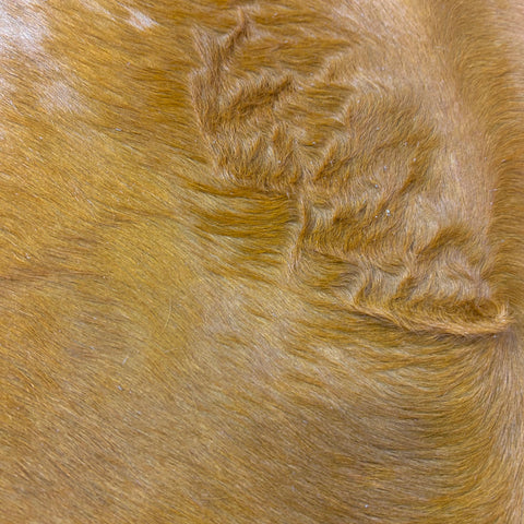 Dyed Orange Cowhide Rug Size: 8x7 feet Y-078