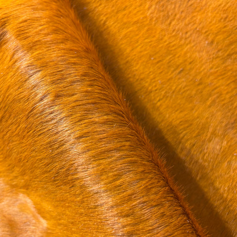 Dyed Orange Cowhide Rug Size: 7.5x7 feet Y-080