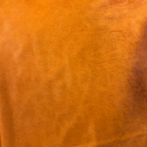 Dyed Orange Cowhide Rug Size: 7x6.5 feet Y-082