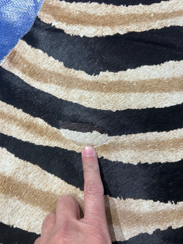Genuine Zebra Cowhide Rug (2 patches) Size: 7x6 feet Z-198