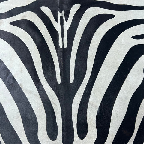 Zebra Cowhide Rug Size: 7x6 feet Y-083