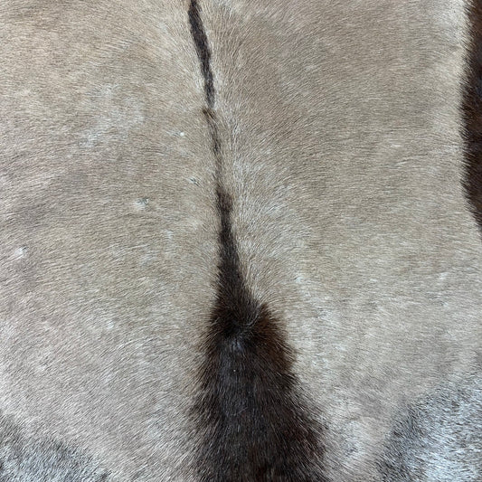 Gemsbok Skin Size: 5.2x4.5 feet D-699