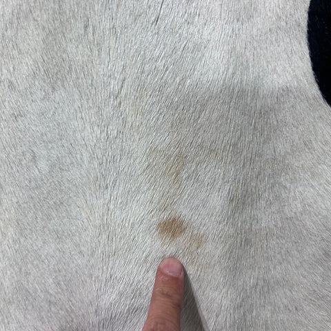 Zebra Cowhide Rug Size: 7x6.2 feet Y-085