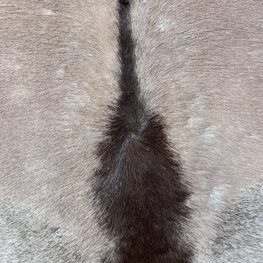 Oryx Skin Rug Size: 4.7x4.2 feet D-700