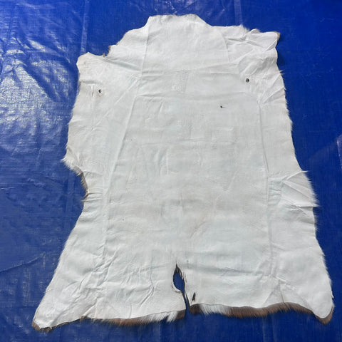 Axis Deer Skin (some holes) Size: 42x33" Axis-774