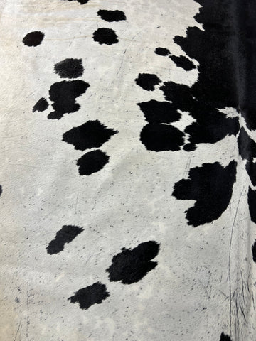 Huge Speckled Cowhide Rug (mainly black and white/ fire brand) Size: 9x7 feet D-195