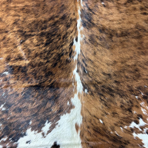 Tricolor Cowhide Rug Size: 8x6.5 feet D-703