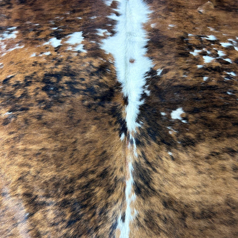 Tricolor Cowhide Rug Size: 8x6.5 feet D-703