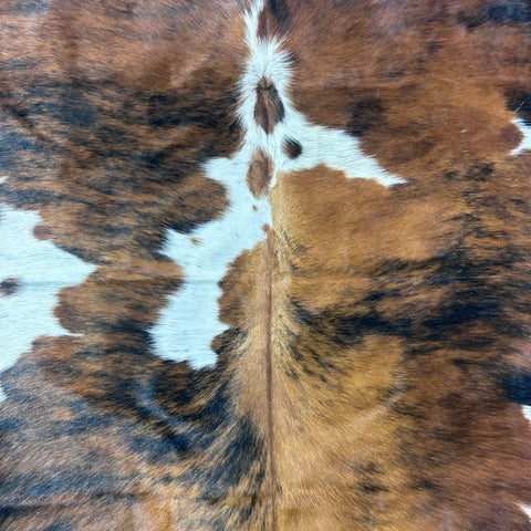 Tricolor Cowhide Rug Size: 7.2x6.2 feet Colombia-297