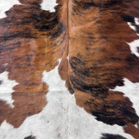 Tricolor Cowhide Rug Size: 7.2x6.2 feet Colombia-297