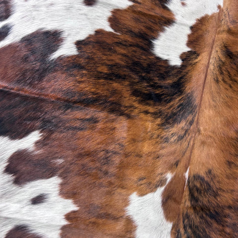 Tricolor Cowhide Rug Size: 7.2x6.2 feet Colombia-297
