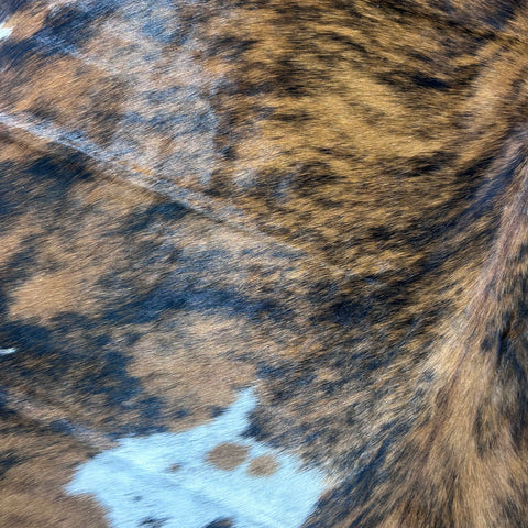 Tricolor Cowhide Rug Size: 7.7x6.5 feet Colombia-262