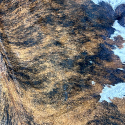 Tricolor Cowhide Rug Size: 7.7x6.5 feet Colombia-262