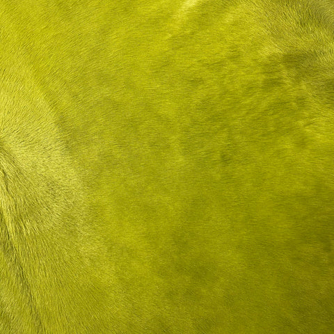 Dyed Green Cowhide Rug Size: 8x7 feet J-090