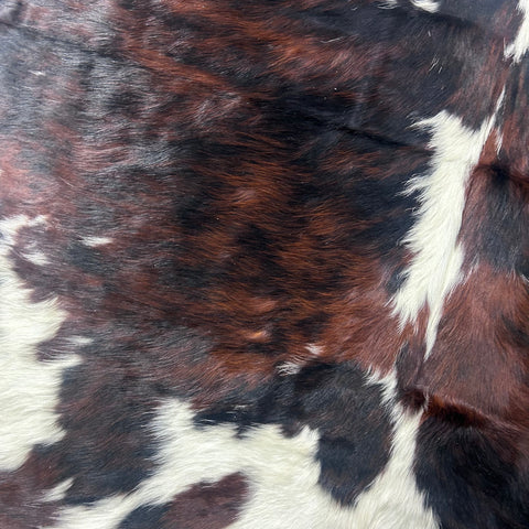 Tricolor Cowhide Rug Size: 7.2x6.5 feet Colombia-253