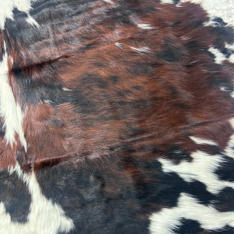 Tricolor Cowhide Rug Size: 7.2x6.5 feet Colombia-253