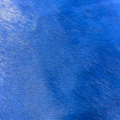 Dyed Dark Blue Cowhide Rug Size: 7x6 feet J-092