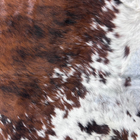 Tricolor Cowhide Rug Size: 7.2x6 feet Colombia-63