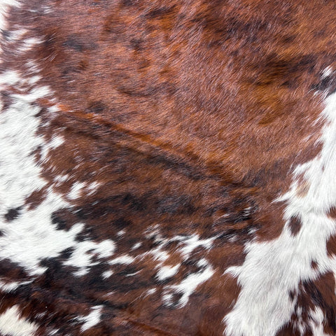 Tricolor Cowhide Rug Size: 7.2x6 feet Colombia-63
